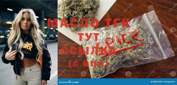 стаф Аркадак