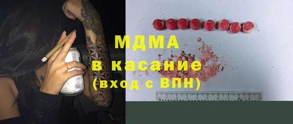 стаф Аркадак