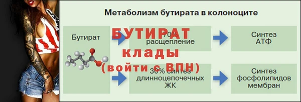 стаф Аркадак