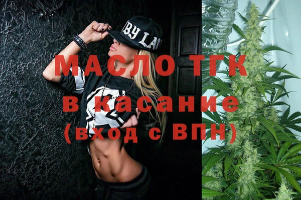 стаф Аркадак