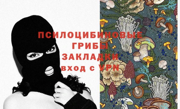 стаф Аркадак