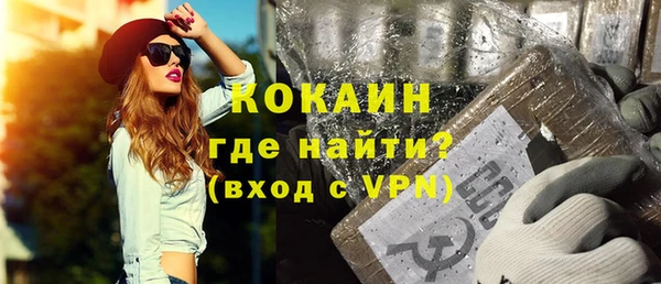 стаф Аркадак