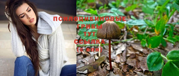 мяу мяу кристалл Армянск