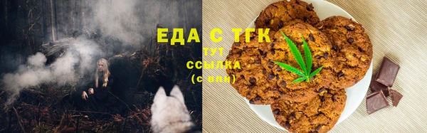 стаф Аркадак
